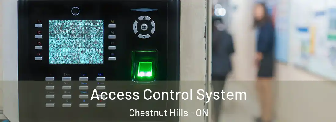  Access Control System Chestnut Hills - ON