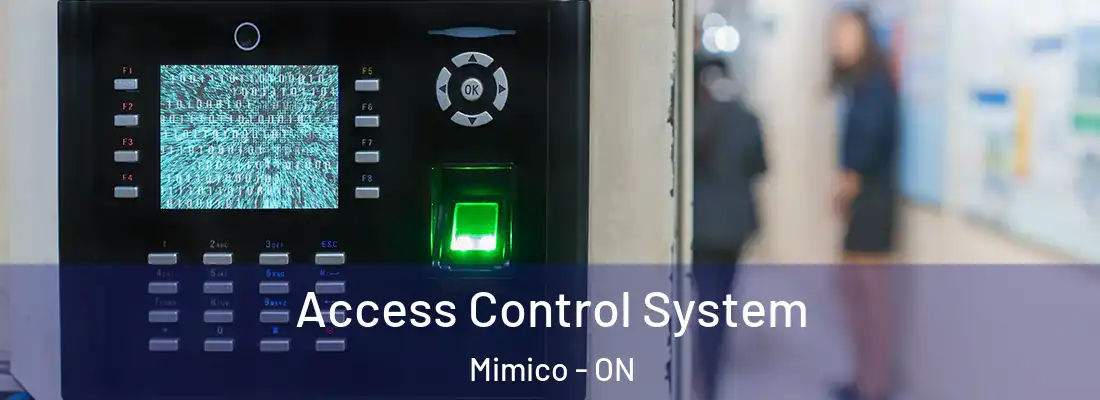  Access Control System Mimico - ON