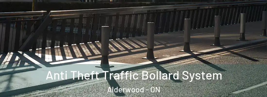  Anti Theft Traffic Bollard System Alderwood - ON