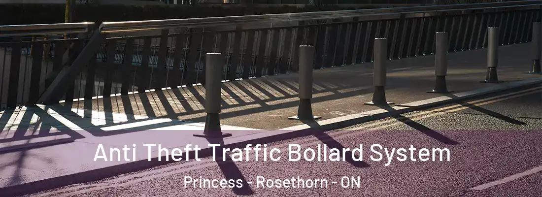  Anti Theft Traffic Bollard System Princess - Rosethorn - ON