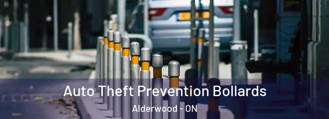  Auto Theft Prevention Bollards Alderwood - ON