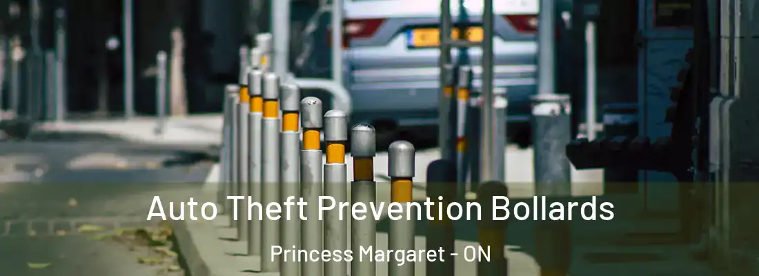  Auto Theft Prevention Bollards Princess Margaret - ON