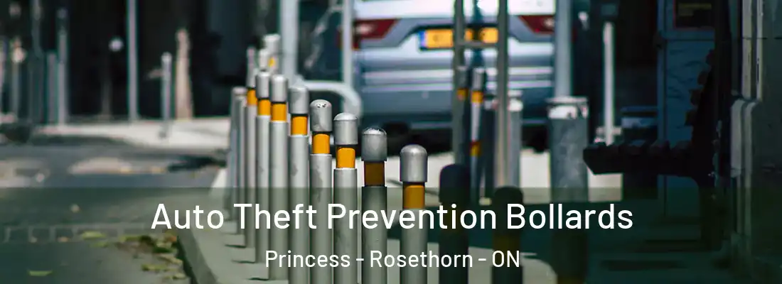  Auto Theft Prevention Bollards Princess - Rosethorn - ON