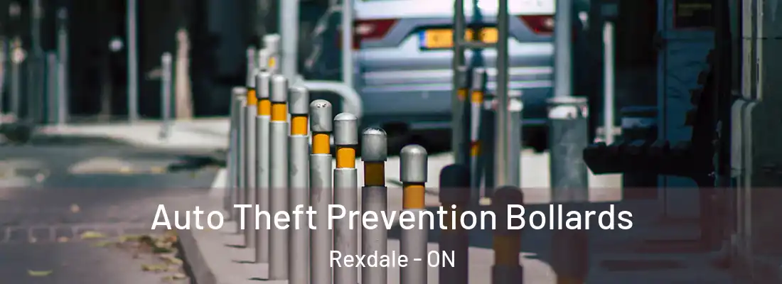  Auto Theft Prevention Bollards Rexdale - ON