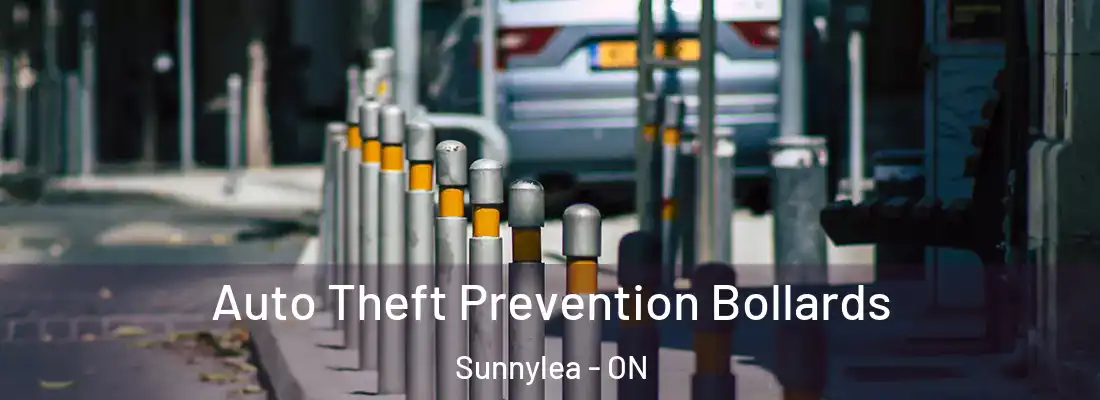  Auto Theft Prevention Bollards Sunnylea - ON