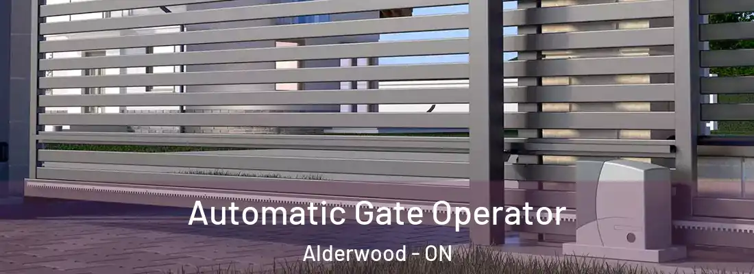 Automatic Gate Operator Alderwood - ON