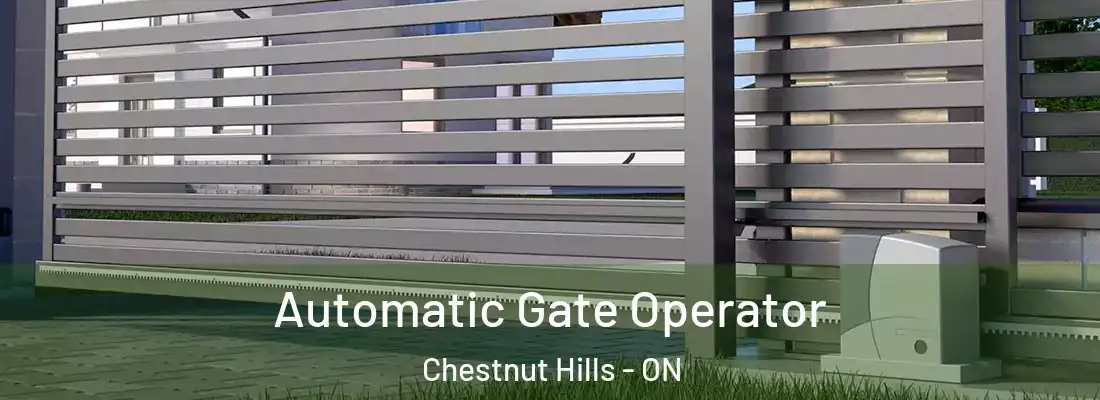  Automatic Gate Operator Chestnut Hills - ON