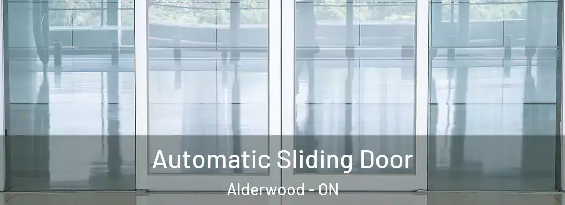  Automatic Sliding Door Alderwood - ON