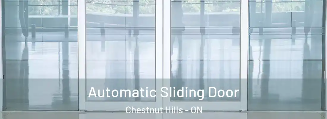  Automatic Sliding Door Chestnut Hills - ON
