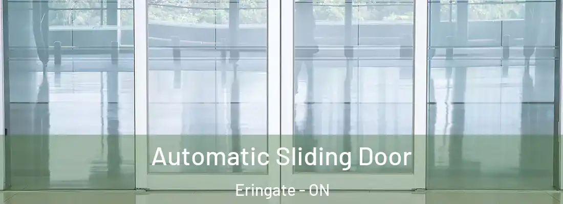  Automatic Sliding Door Eringate - ON