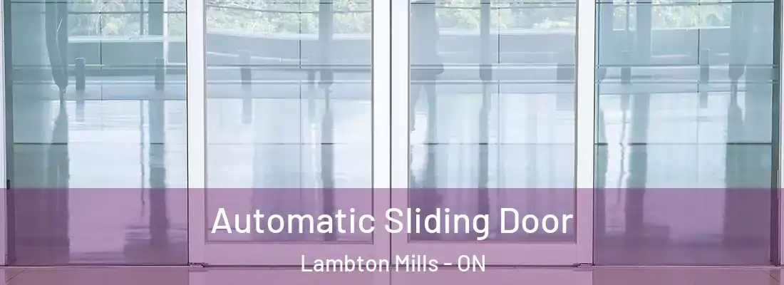 Automatic Sliding Door Lambton Mills - ON