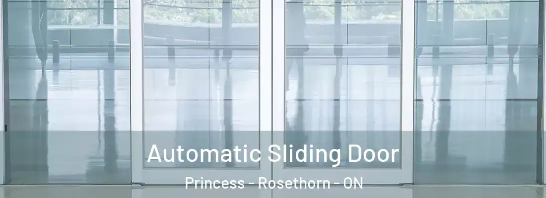  Automatic Sliding Door Princess - Rosethorn - ON
