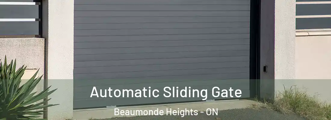  Automatic Sliding Gate Beaumonde Heights - ON