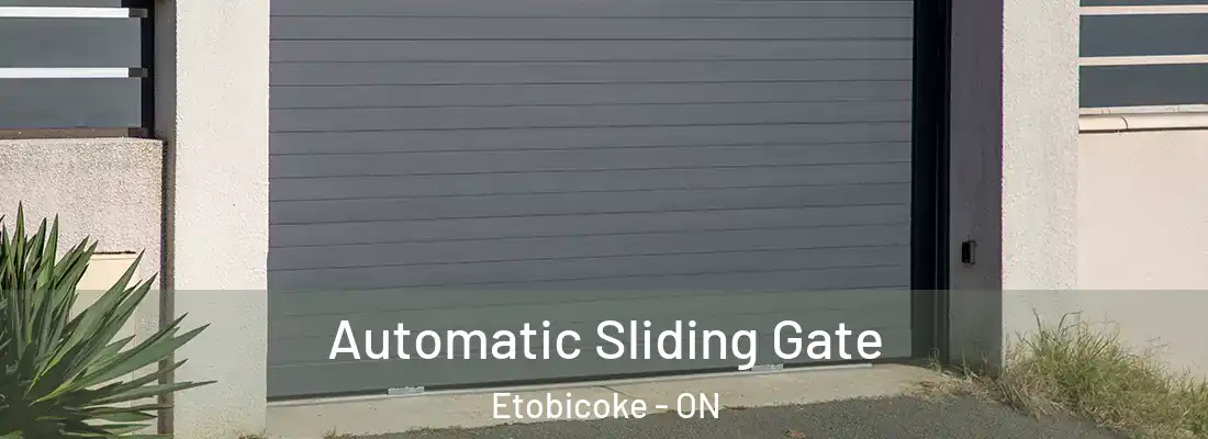  Automatic Sliding Gate Etobicoke - ON