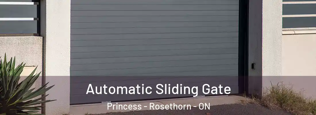  Automatic Sliding Gate Princess - Rosethorn - ON