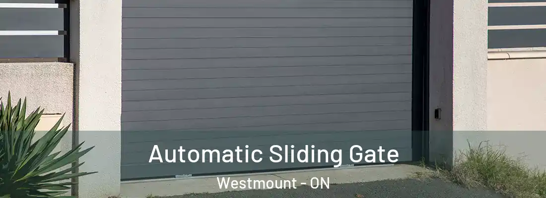  Automatic Sliding Gate Westmount - ON