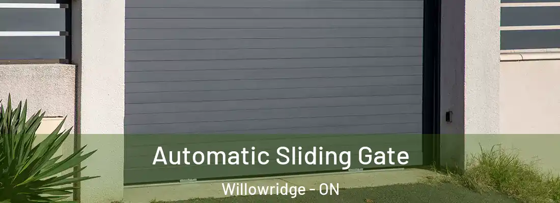  Automatic Sliding Gate Willowridge - ON