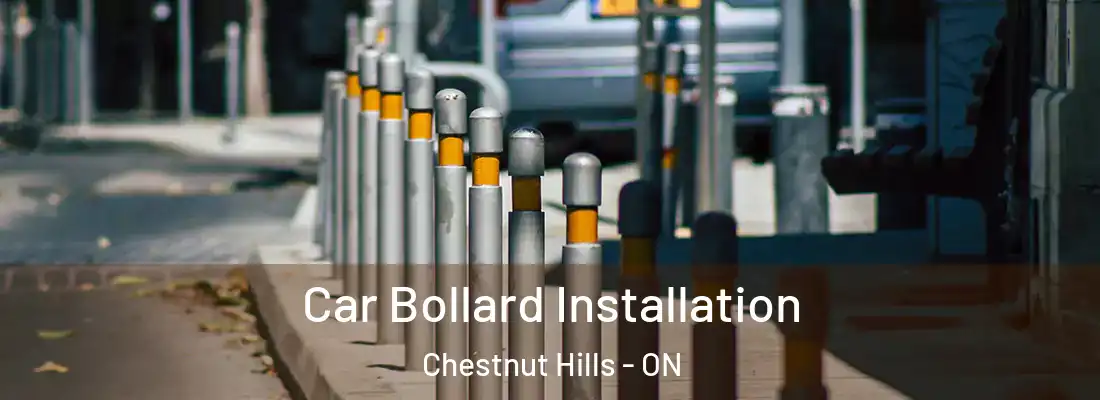  Car Bollard Installation Chestnut Hills - ON