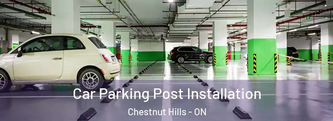  Car Parking Post Installation Chestnut Hills - ON