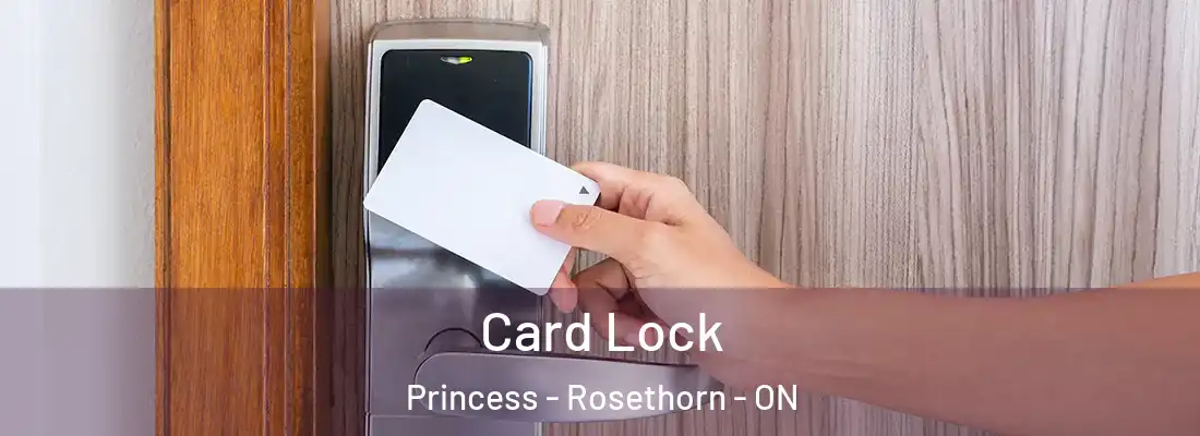  Card Lock Princess - Rosethorn - ON