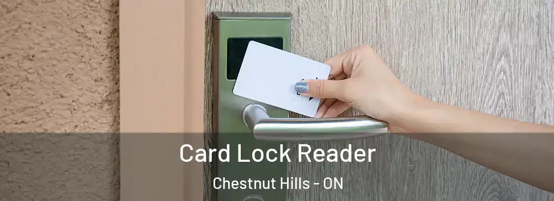  Card Lock Reader Chestnut Hills - ON