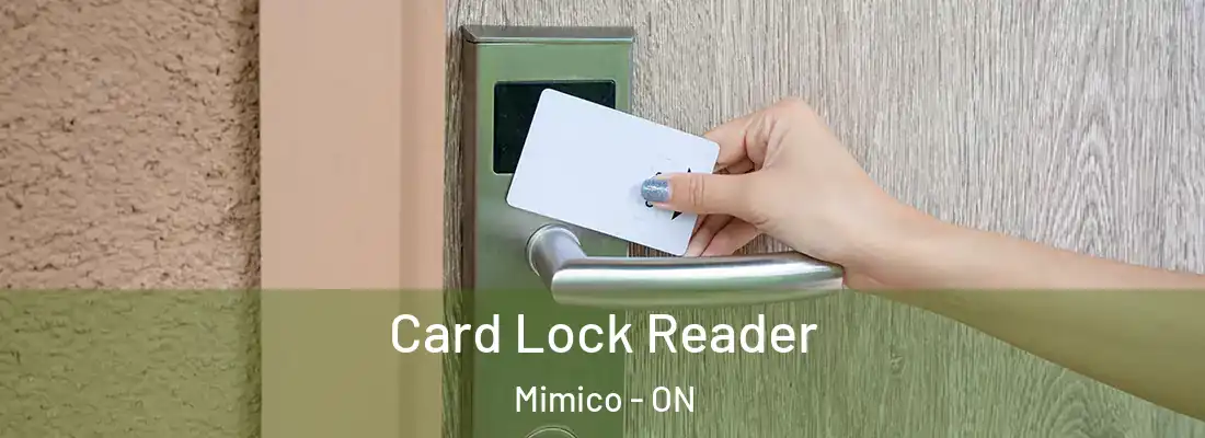  Card Lock Reader Mimico - ON