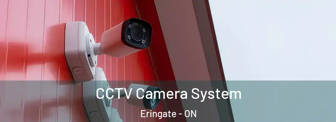  CCTV Camera System Eringate - ON