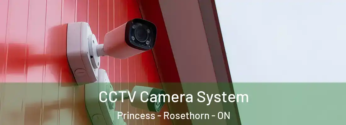 CCTV Camera System Princess - Rosethorn - ON
