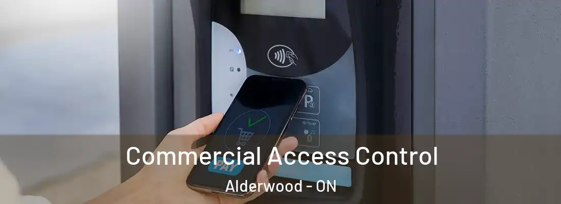  Commercial Access Control Alderwood - ON