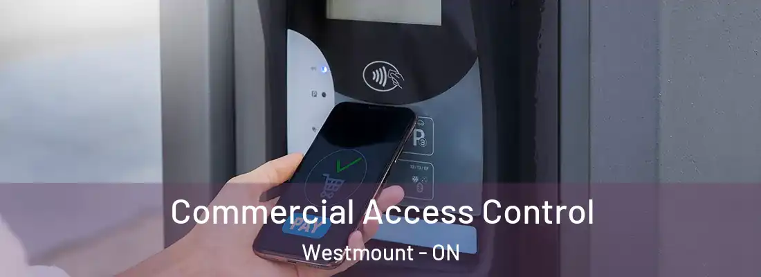  Commercial Access Control Westmount - ON