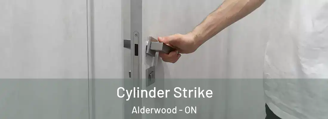  Cylinder Strike Alderwood - ON