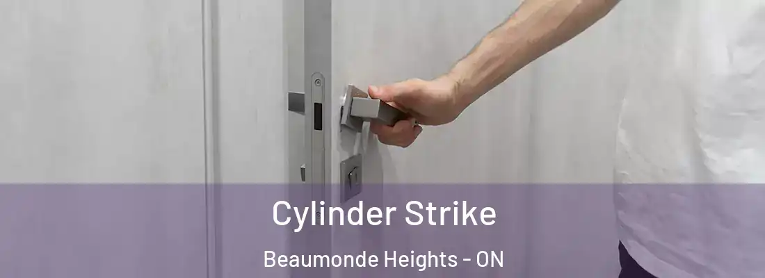  Cylinder Strike Beaumonde Heights - ON