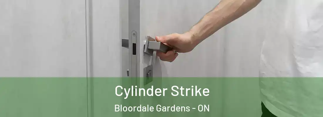  Cylinder Strike Bloordale Gardens - ON