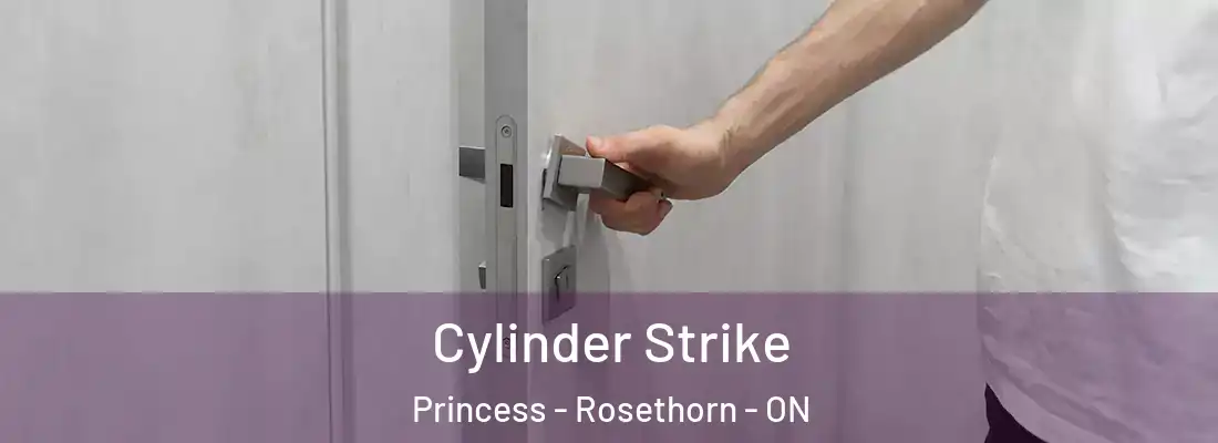  Cylinder Strike Princess - Rosethorn - ON