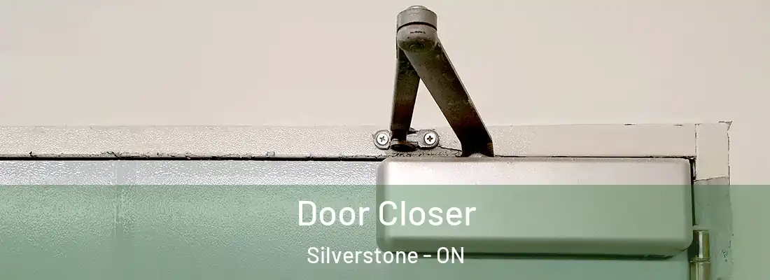  Door Closer Silverstone - ON