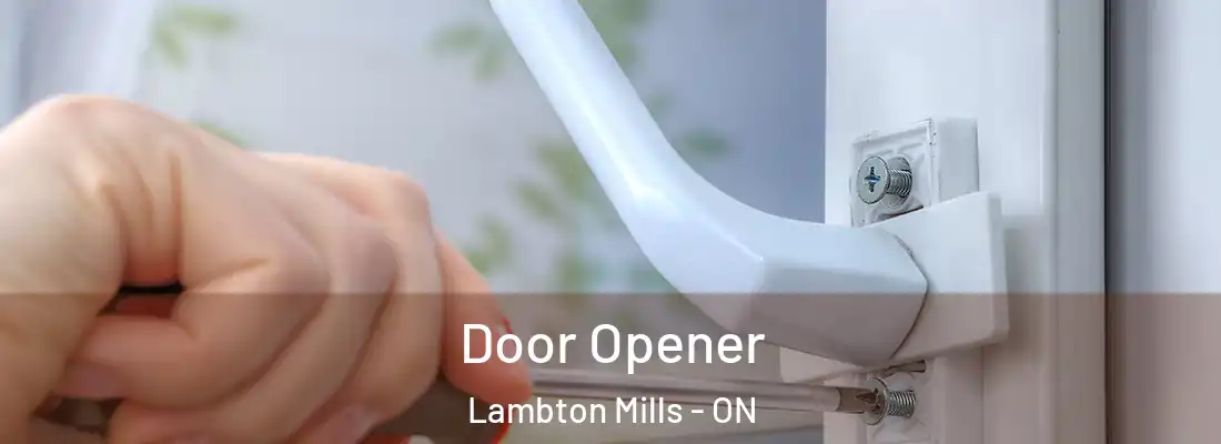  Door Opener Lambton Mills - ON