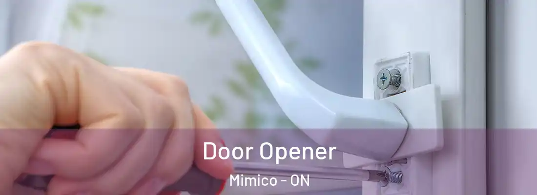  Door Opener Mimico - ON