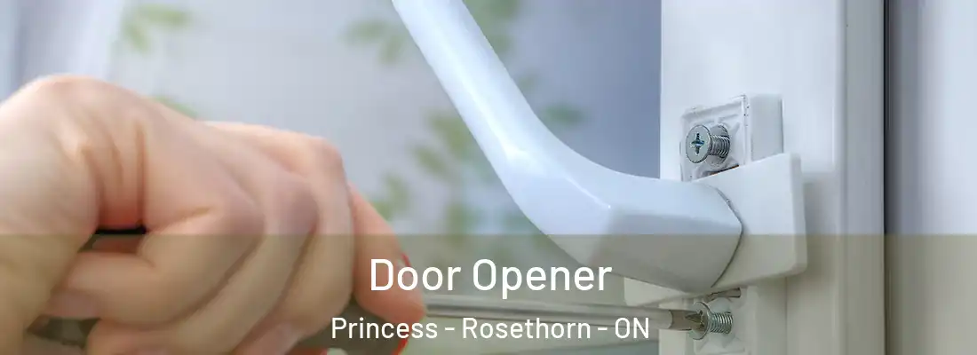  Door Opener Princess - Rosethorn - ON