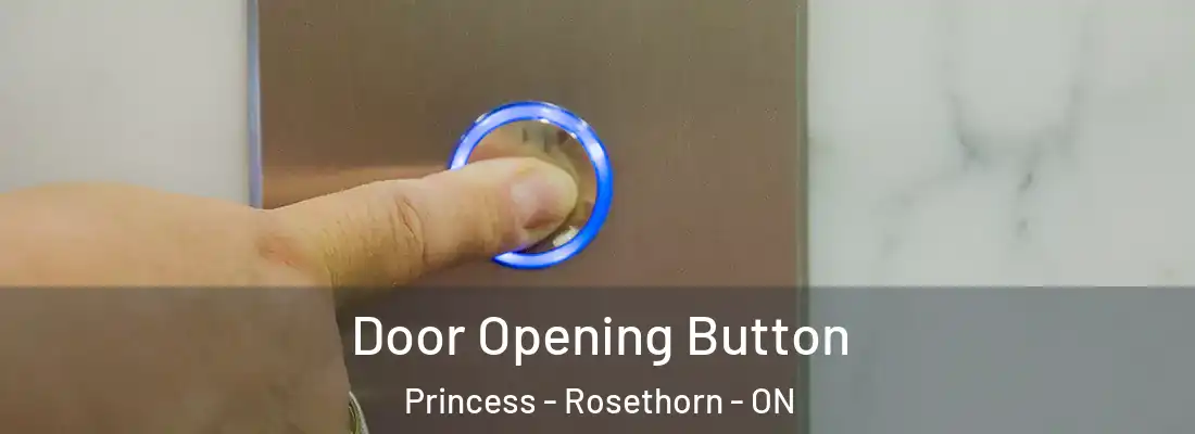 Door Opening Button Princess - Rosethorn - ON
