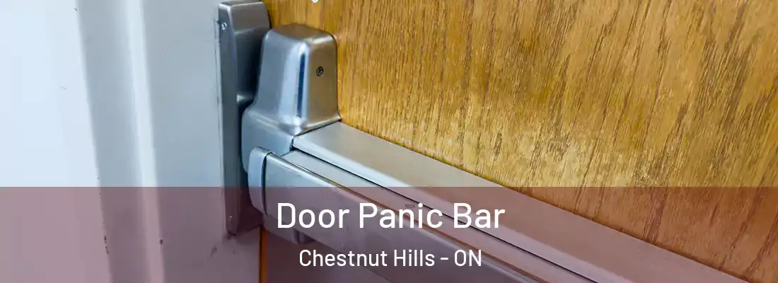  Door Panic Bar Chestnut Hills - ON