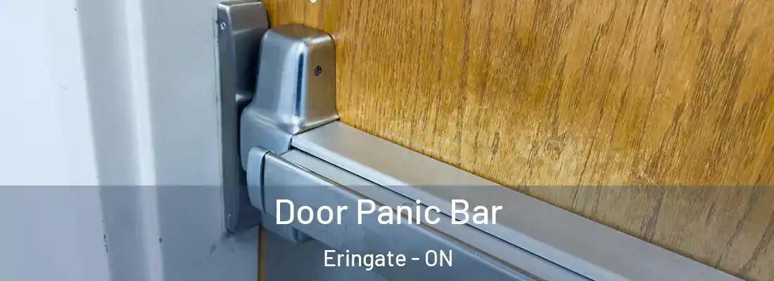  Door Panic Bar Eringate - ON