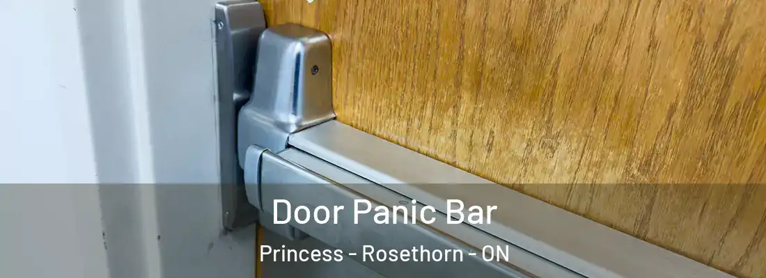  Door Panic Bar Princess - Rosethorn - ON