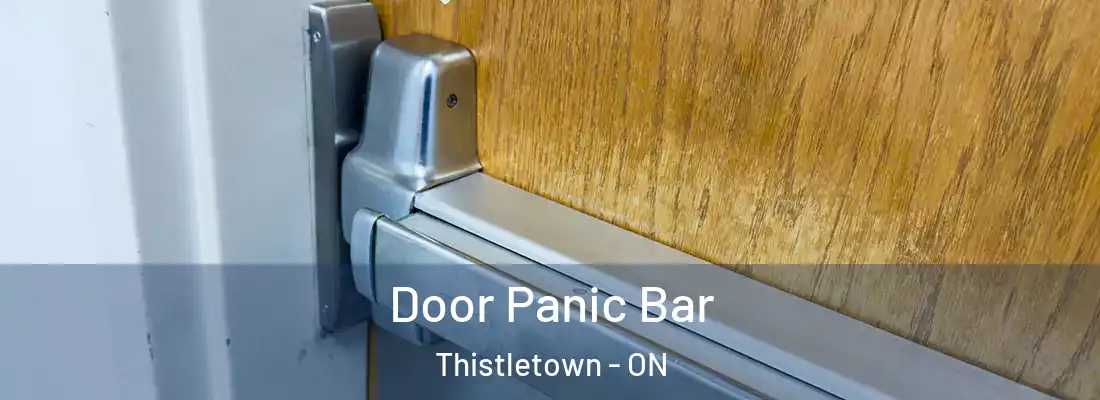  Door Panic Bar Thistletown - ON