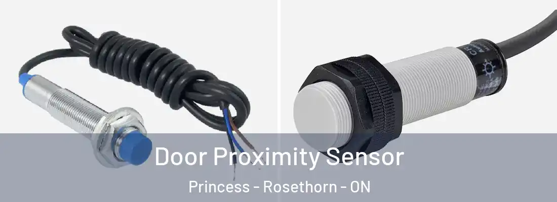  Door Proximity Sensor Princess - Rosethorn - ON