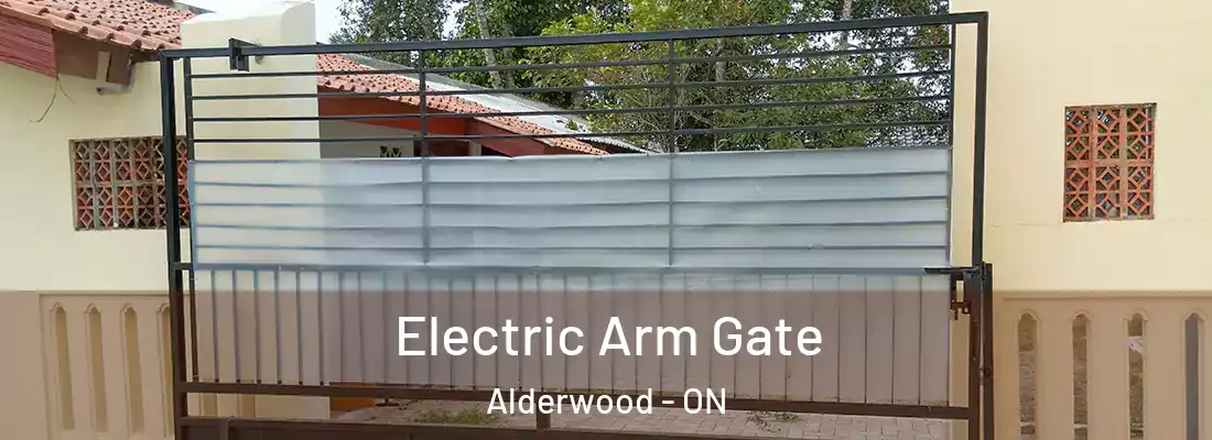  Electric Arm Gate Alderwood - ON