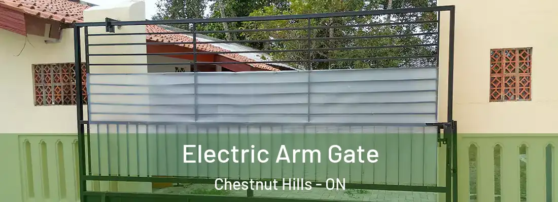  Electric Arm Gate Chestnut Hills - ON