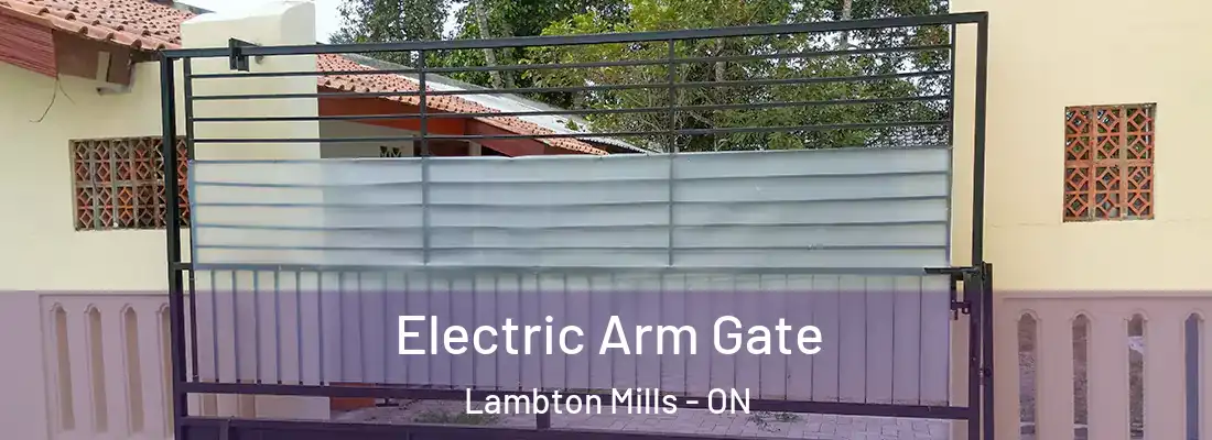  Electric Arm Gate Lambton Mills - ON