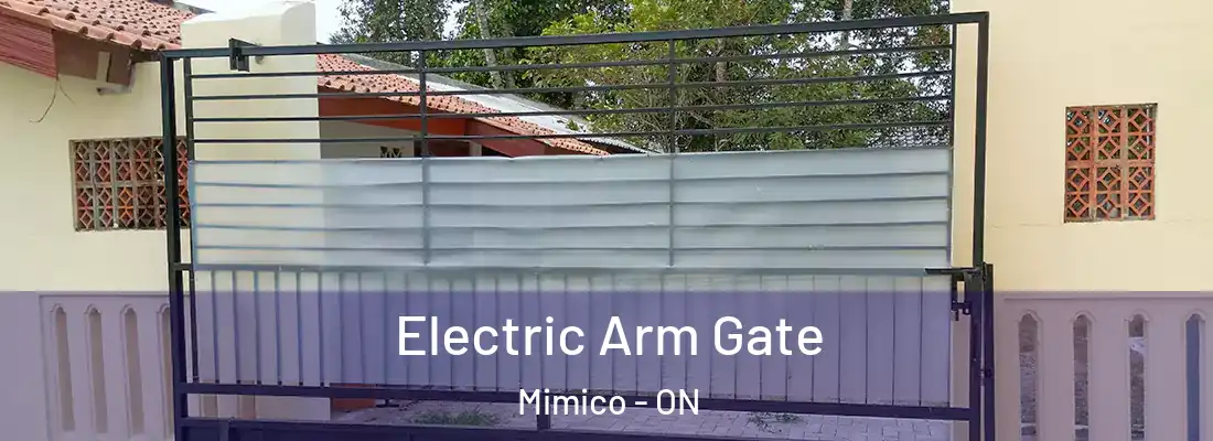  Electric Arm Gate Mimico - ON