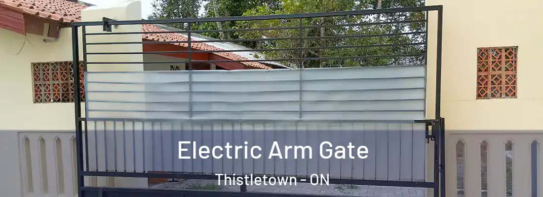  Electric Arm Gate Thistletown - ON