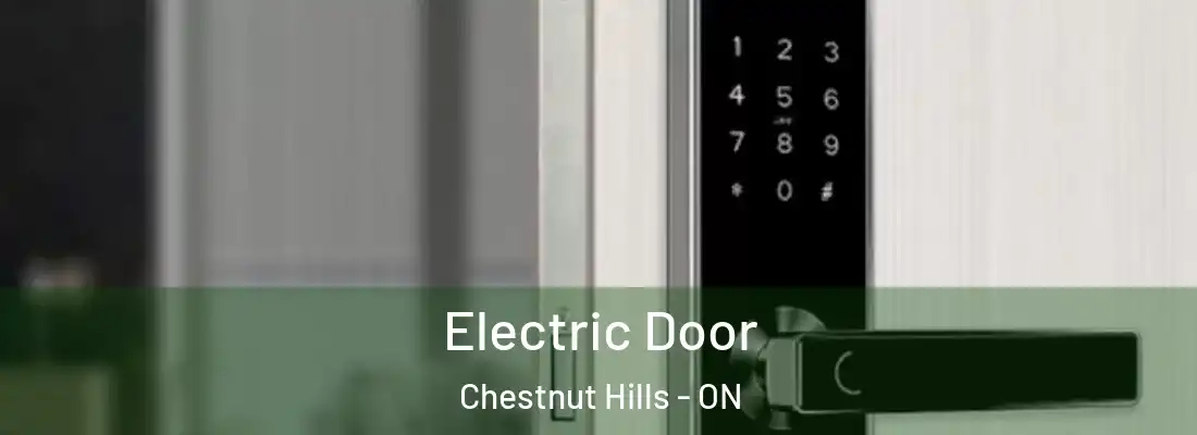  Electric Door Chestnut Hills - ON